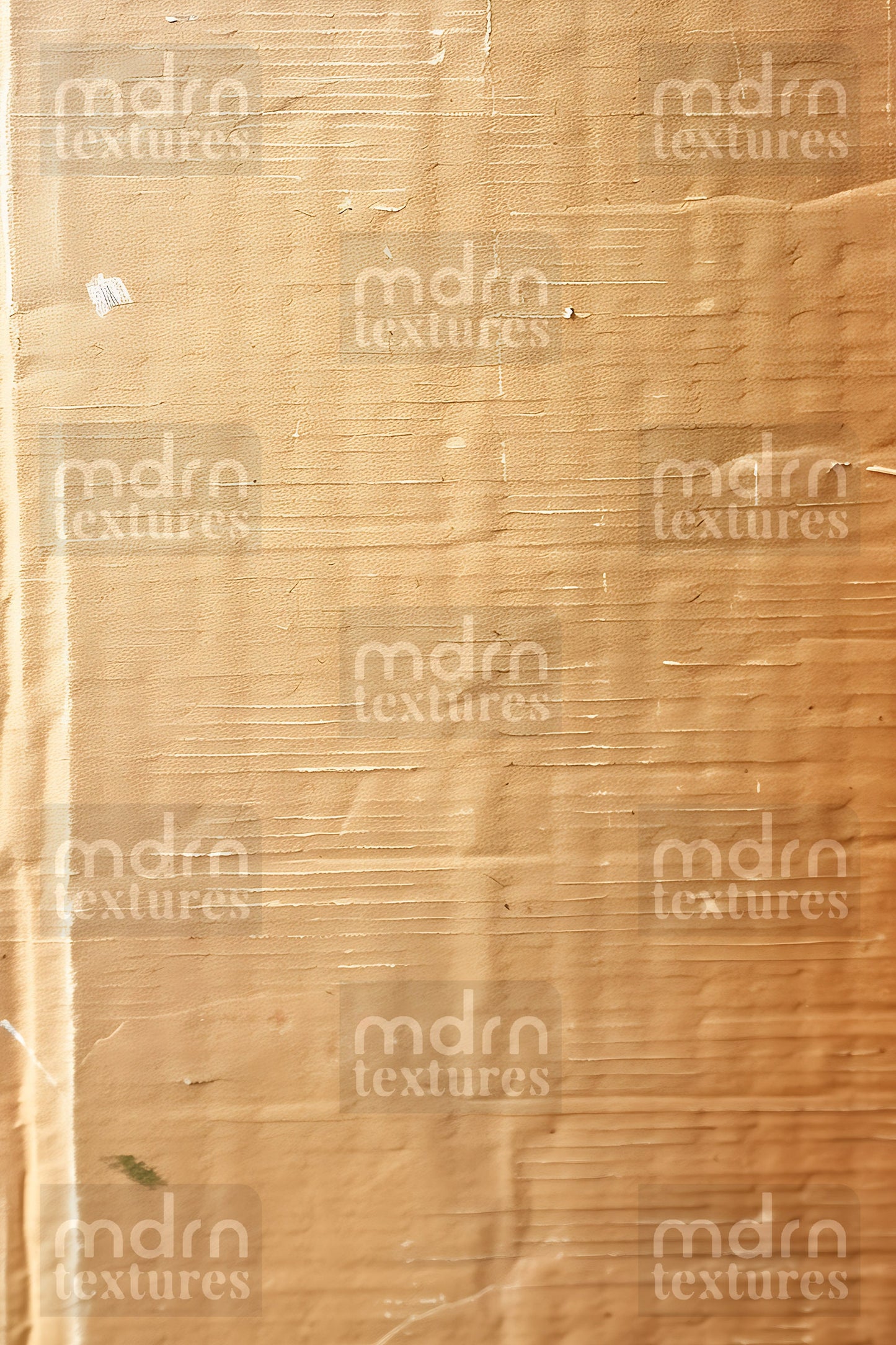 Cardboard