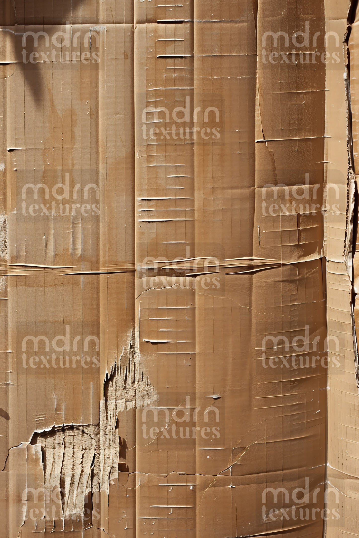 Cardboard
