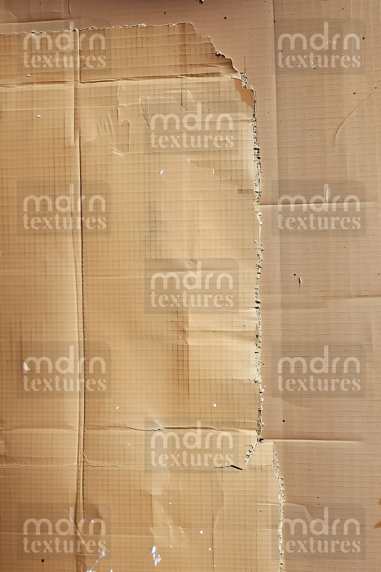 Cardboard