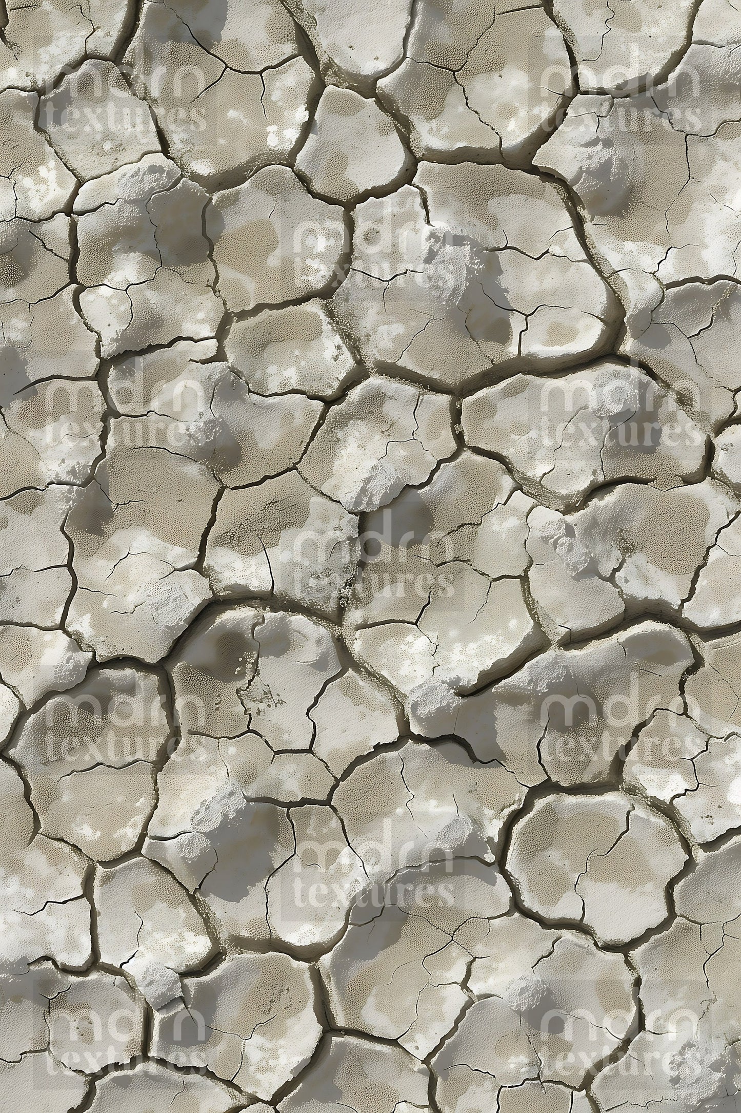 Dirt + Soil