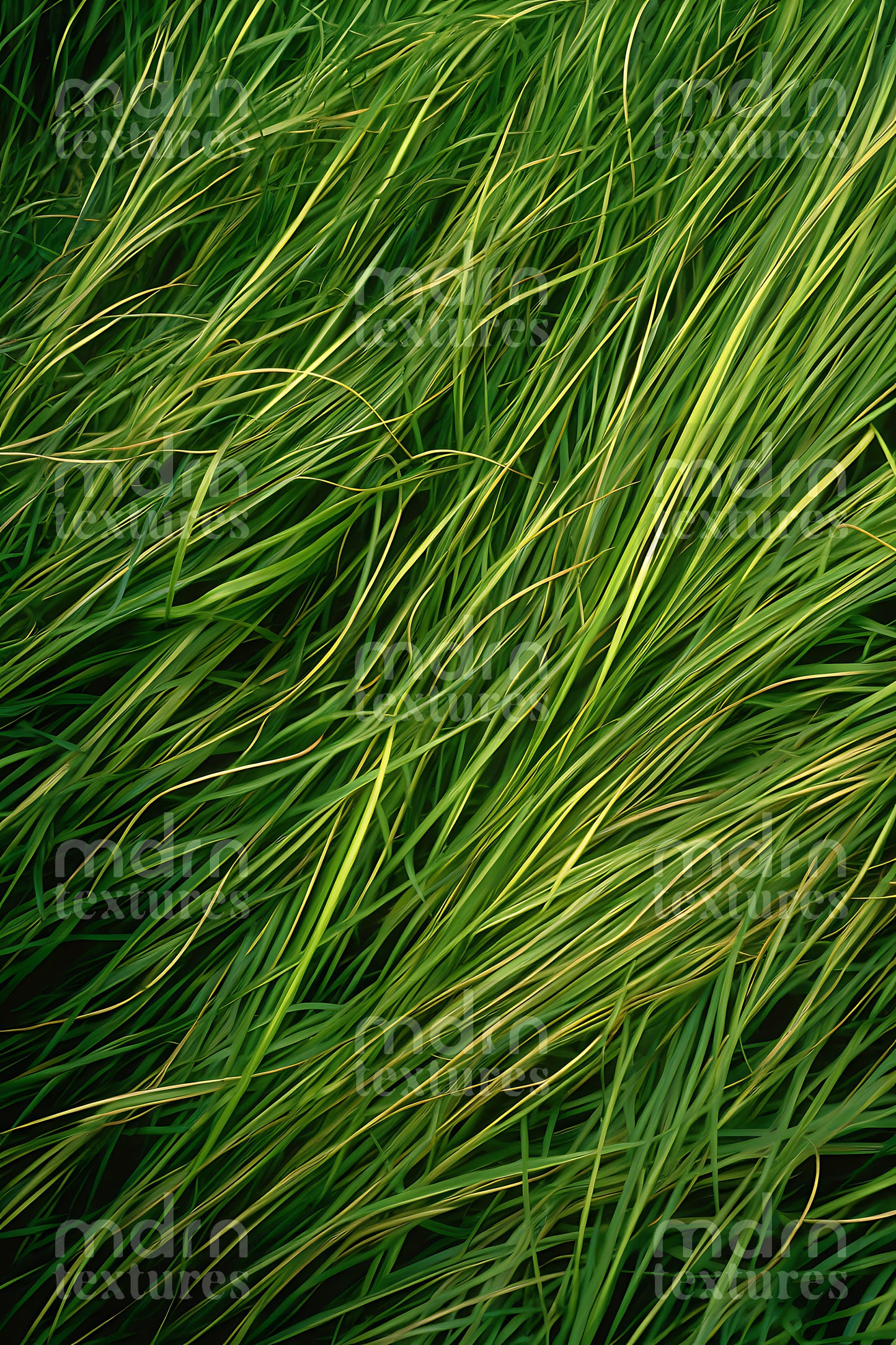 Grass Textures