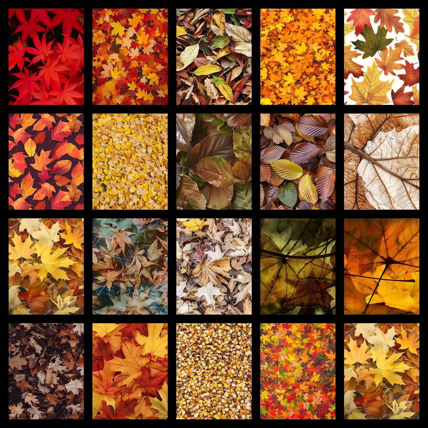 Autumn Leaves