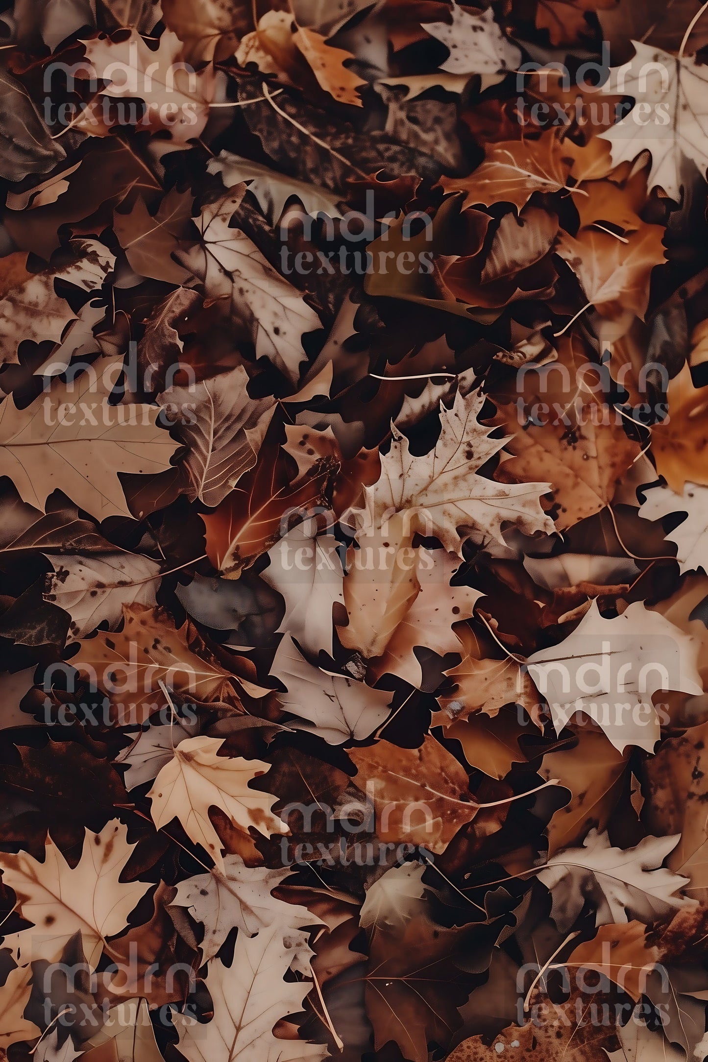 Autumn Leaves