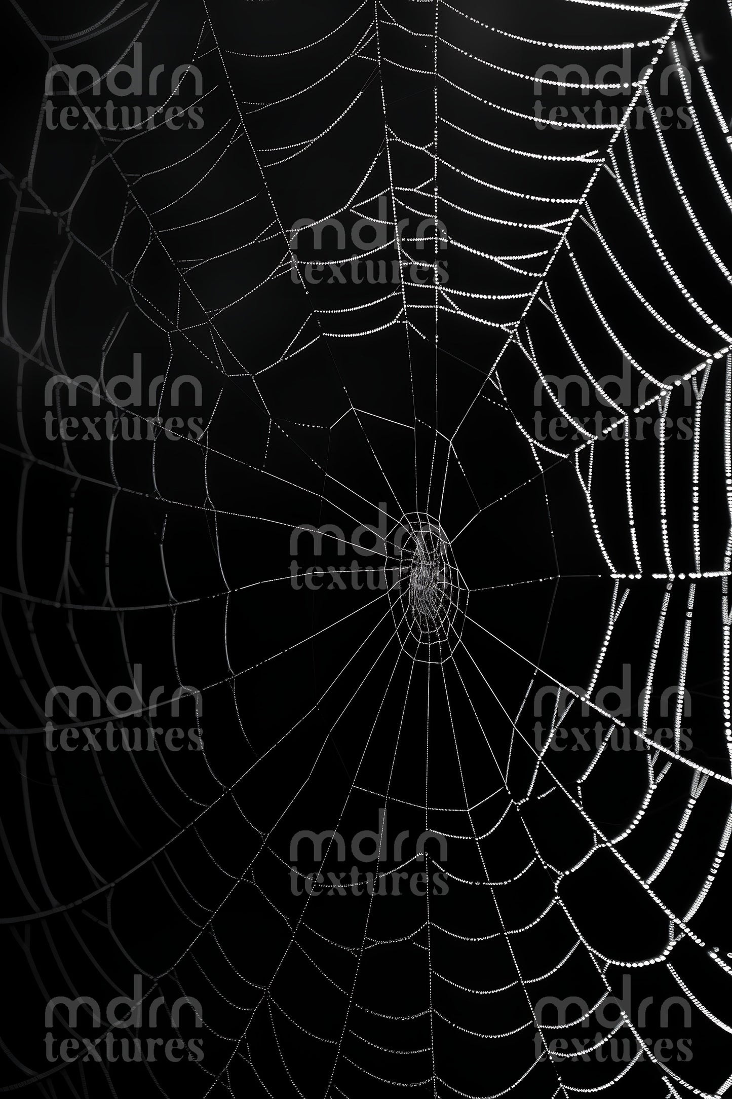 Cobwebs and Spiderwebs