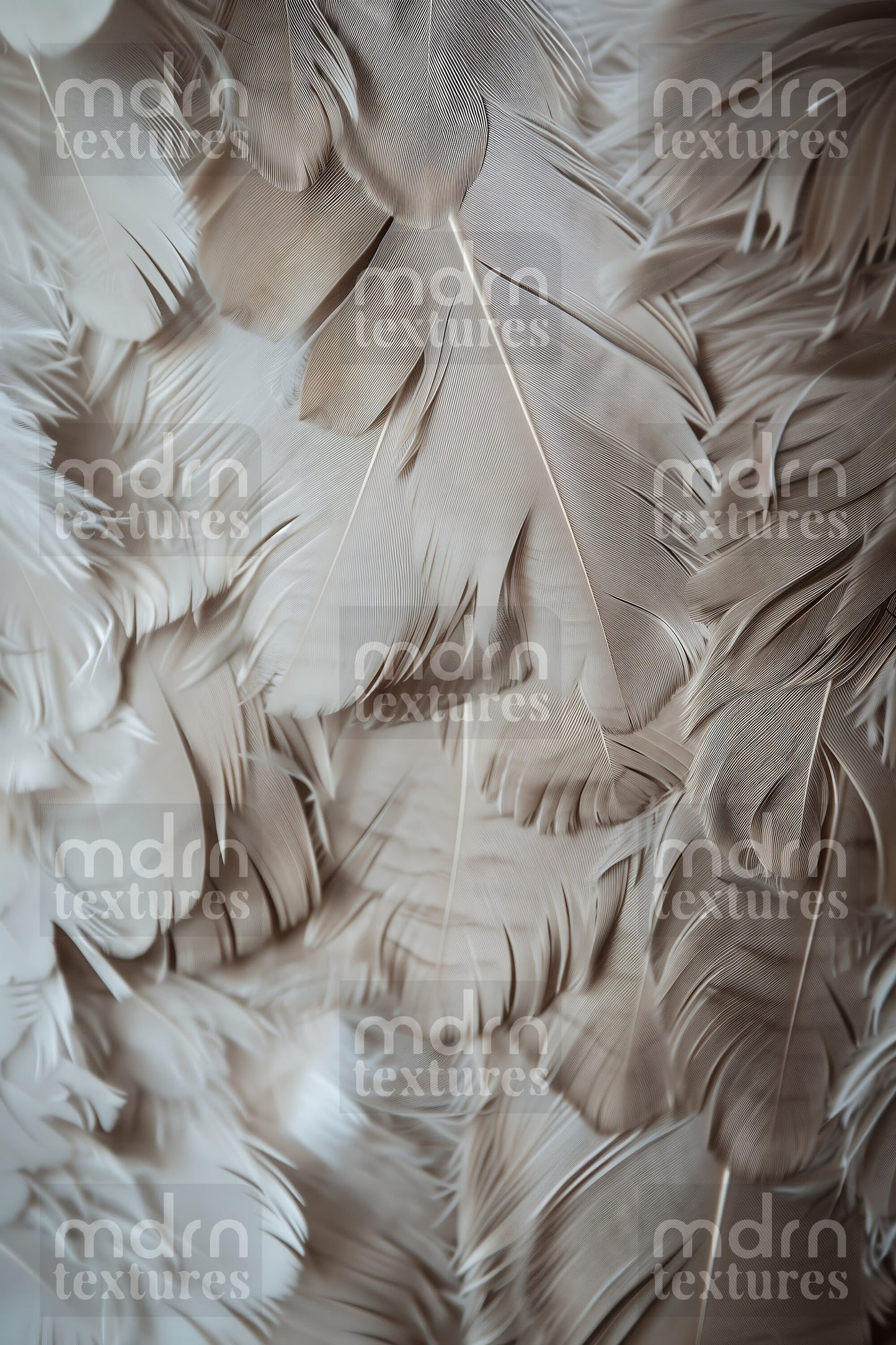 Feather