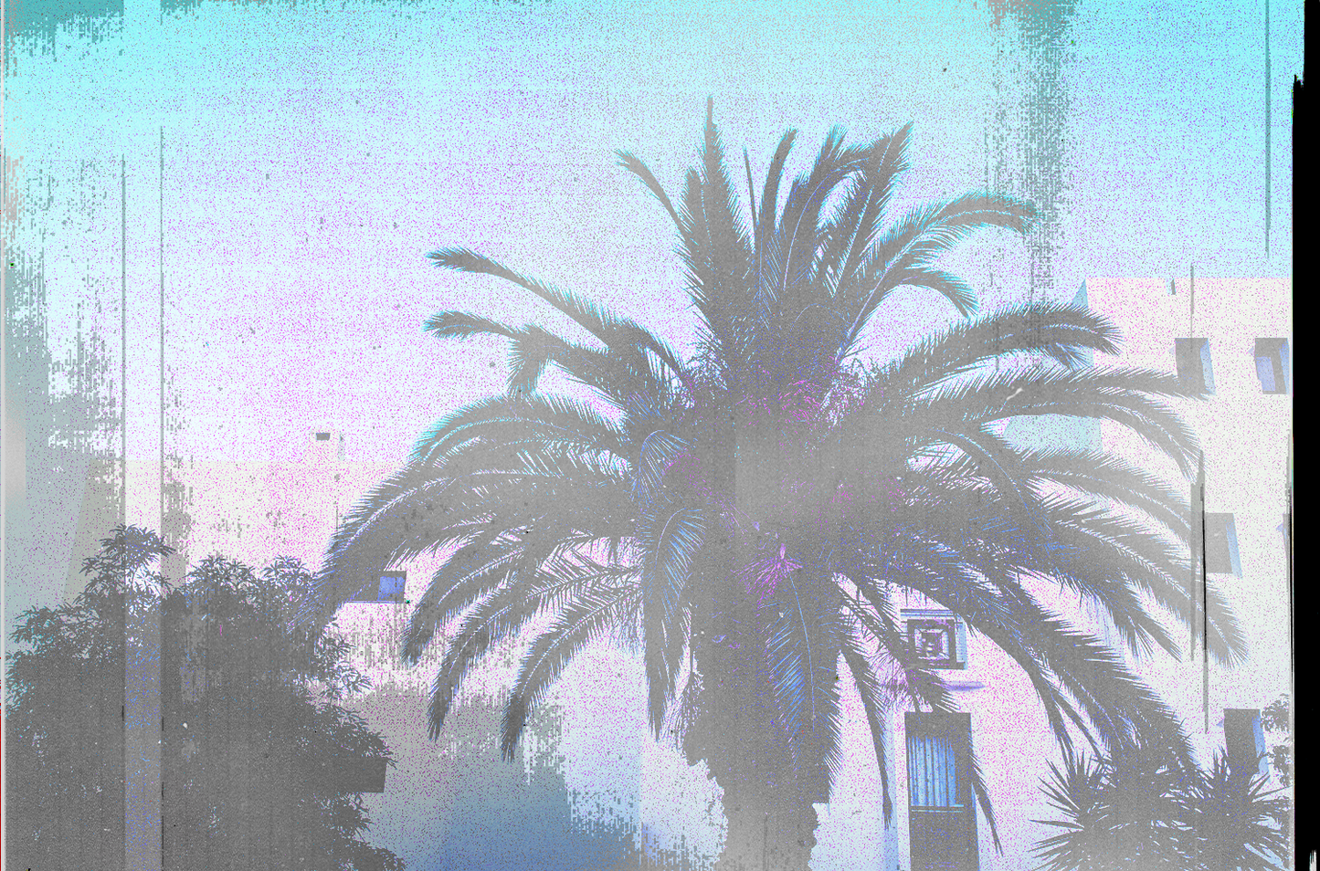 DIRTY SCANS 📸